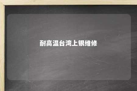 耐高温台湾上银维修 